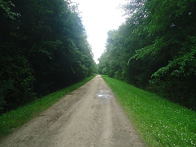 Balade à roulettes : Le marais d'Arcins - Impr ...