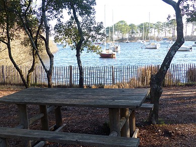 Sentier des Rousserolles - Réserve Naturelle d ...