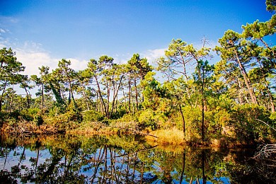 Les Réservoirs de Piraillan - Espace naturel