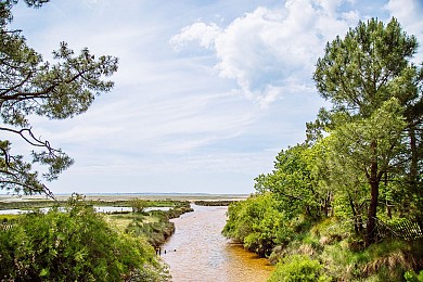 Les Pistes de Robin : balade à Saint Brice