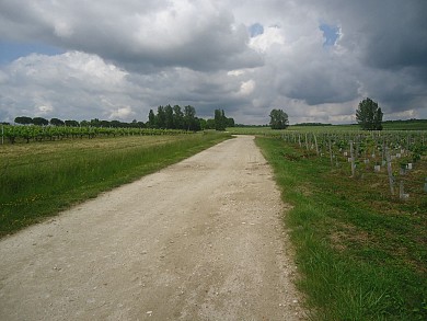 Balade à roulettes : de l'église de Moulis à l ...