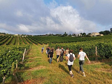 Parcours marche/trail/VTT