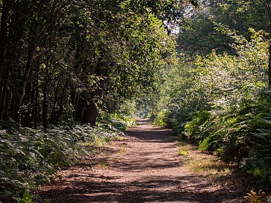 Le sentier de la Berle : un sentier naturellem ...