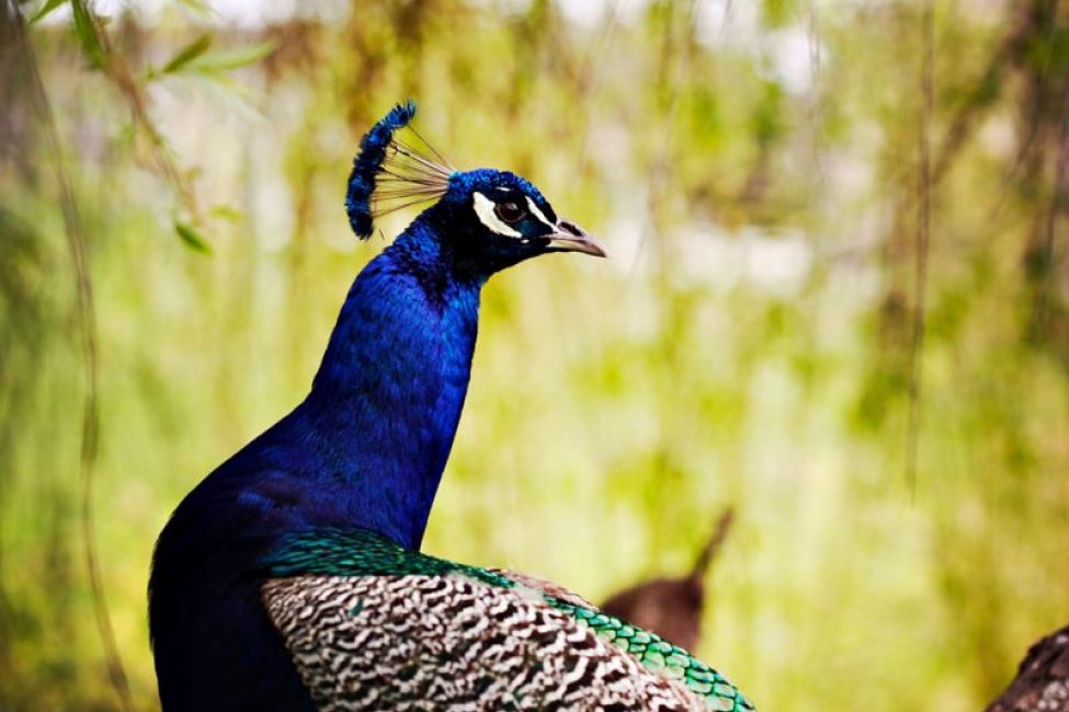 Château Citran ©HipstamaticPhoto