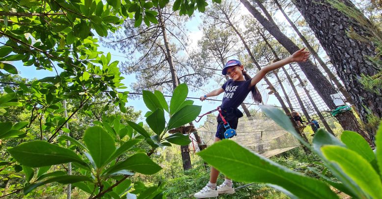 Bassin Aventures, an exceptional tree climbing ...