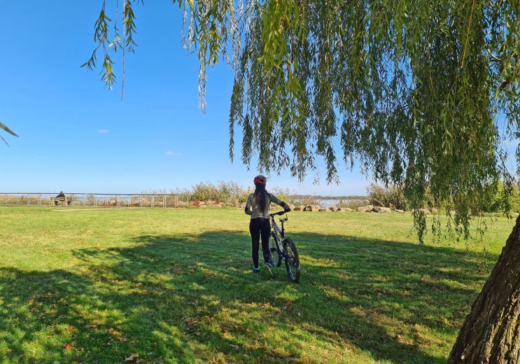 Take your bike, let’s go: greenways and cyclin ...