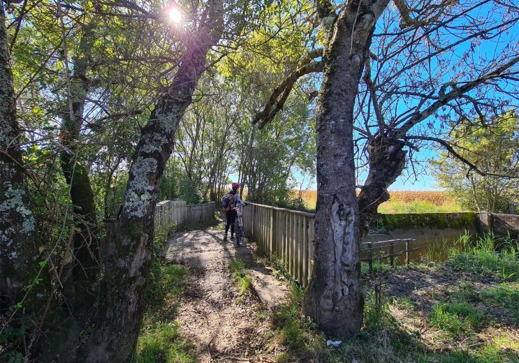 Eco-responsible tourism in Gironde and around  ...