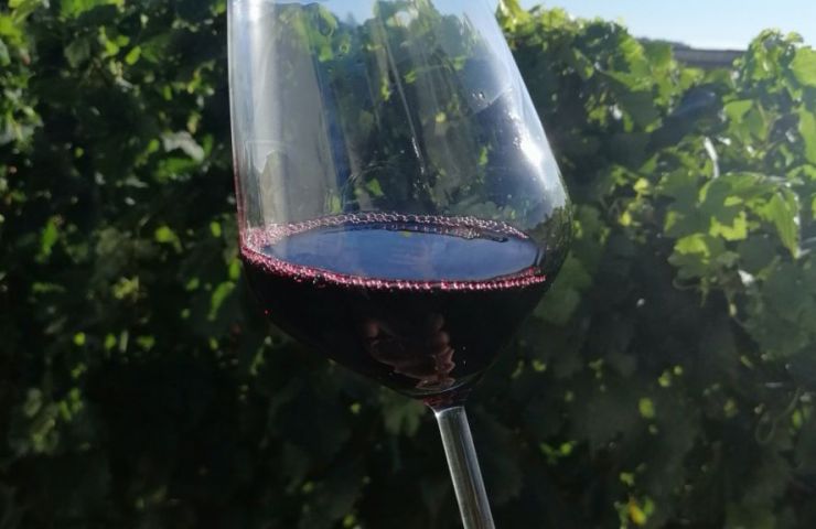 Château Belle Nauve