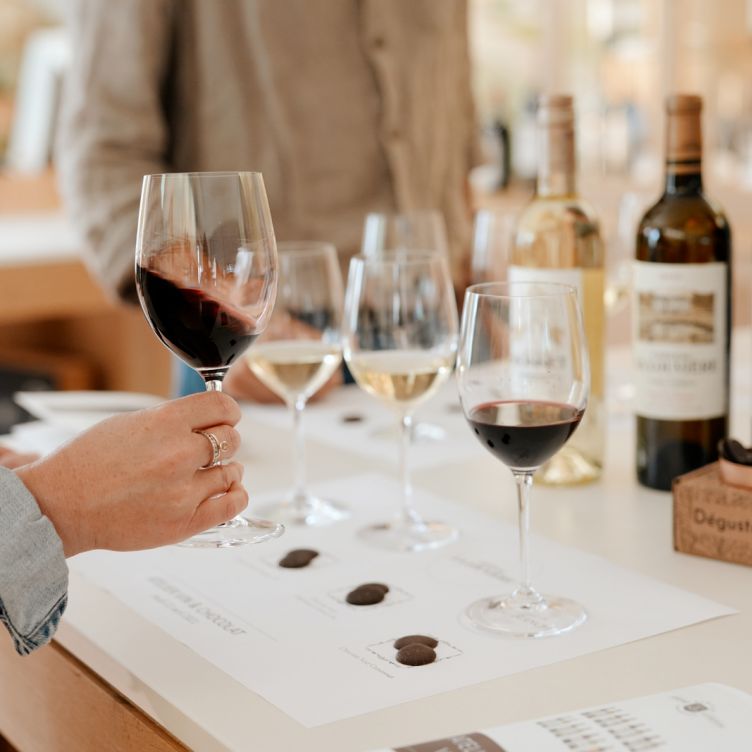 Come visit... - The vineyard of Château la Louvière