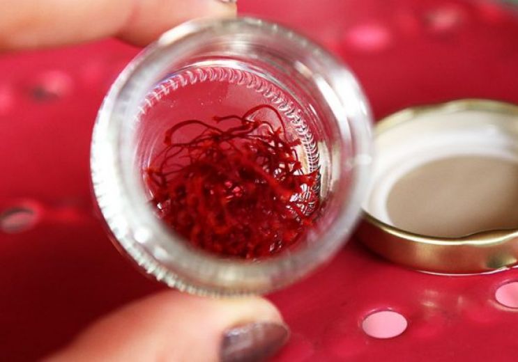 See the life in red during your holidays in en ...