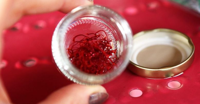 See the life in red during your holidays in en ...