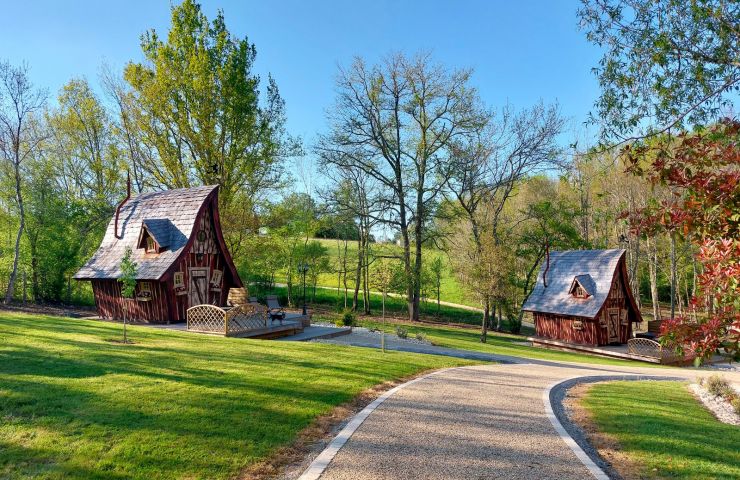 Des Vignes et des Songes