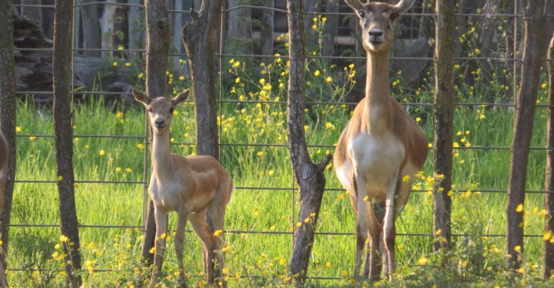 La Ferme Exotique, a fun and educational anima ...