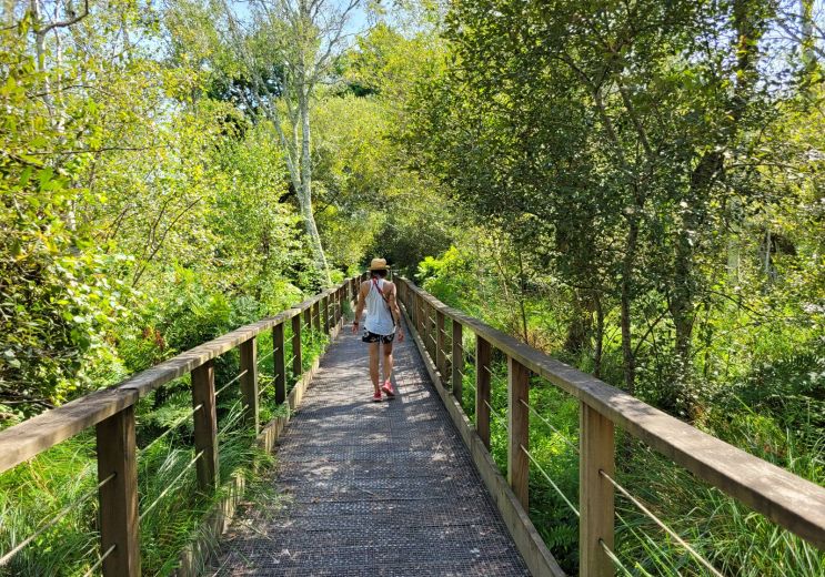 Walk on the suspended footbridges of the Conta ...
