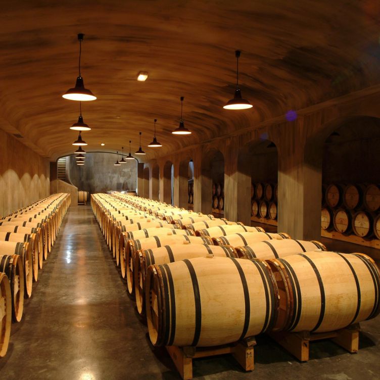 Maison du Vin et du Tourisme de MARGAUX - A must-see wine tour in Gironde