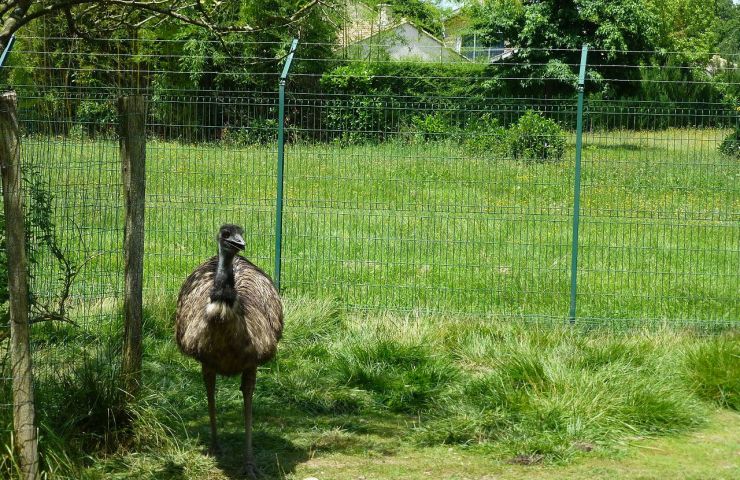 René Canivenc Park, Moulineau