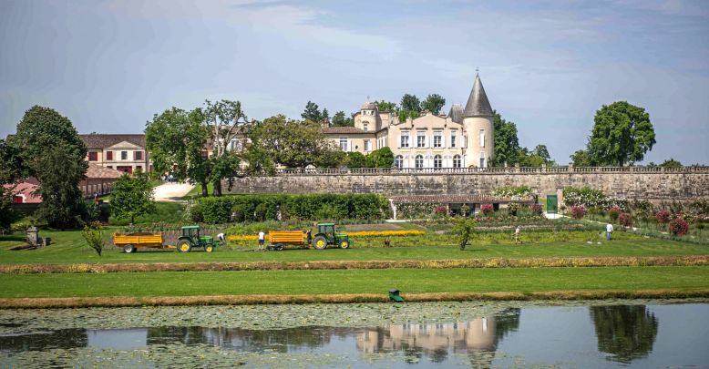 Top 10 wine tours in Bordeaux