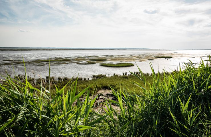 Domaines de Certes - Graveyron