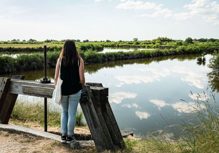 Domain of Certes and Graveyron: nature walk