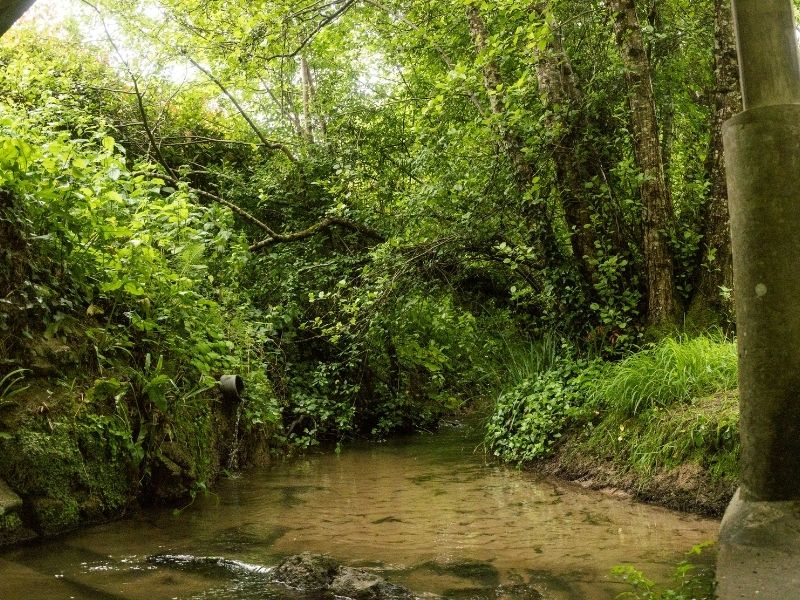 Boucle Meynac/ Quinsac