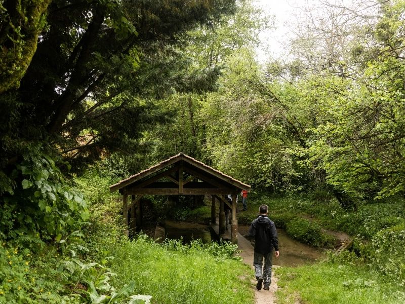 Boucle Camblanes-et-Meynac/ Quinsac