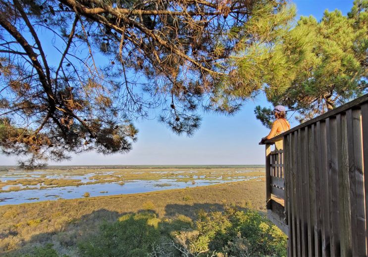 The Cousseau Pond Nature Reserve
