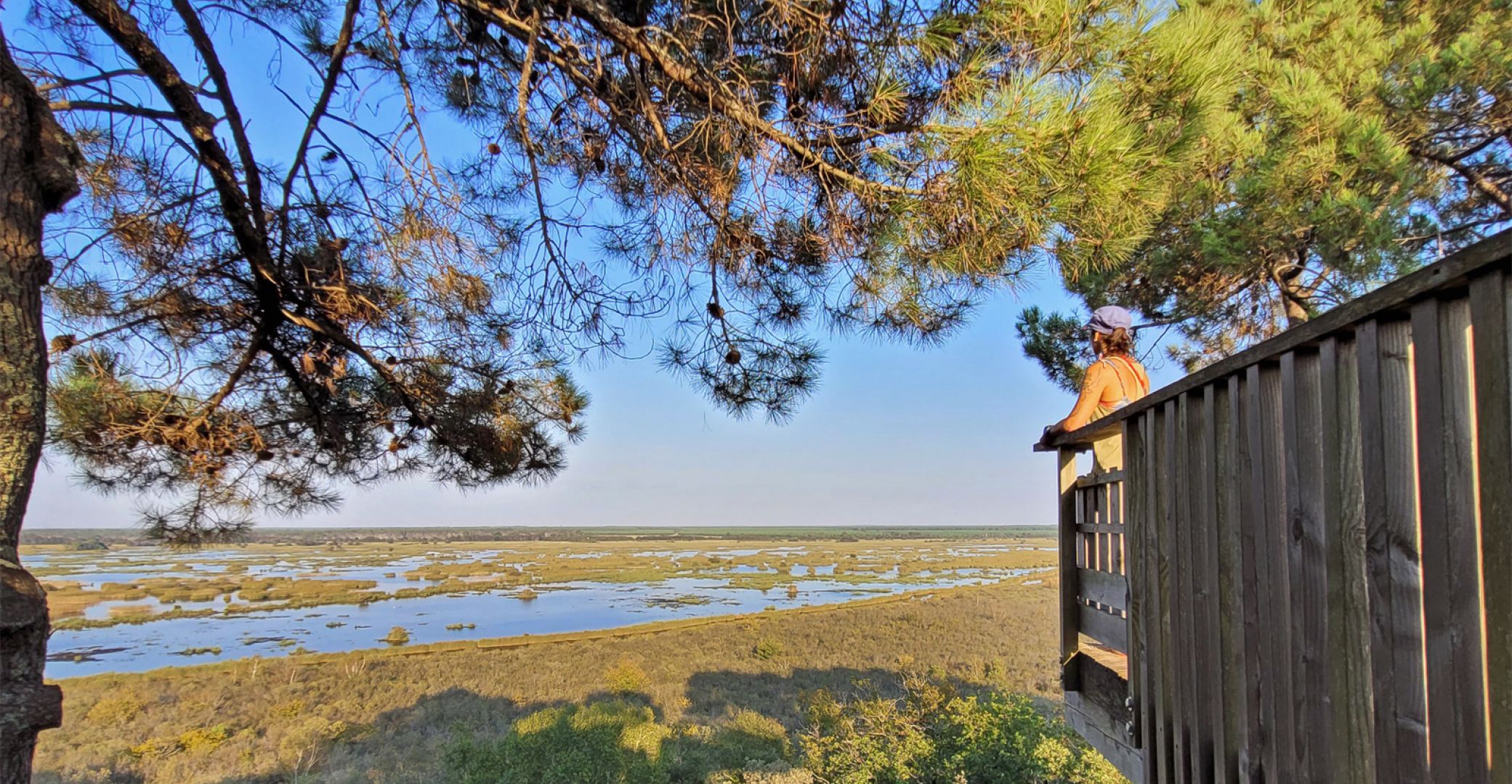 The Cousseau Pond Nat ...