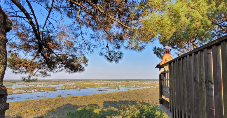 The Cousseau Pond Nature Reserve