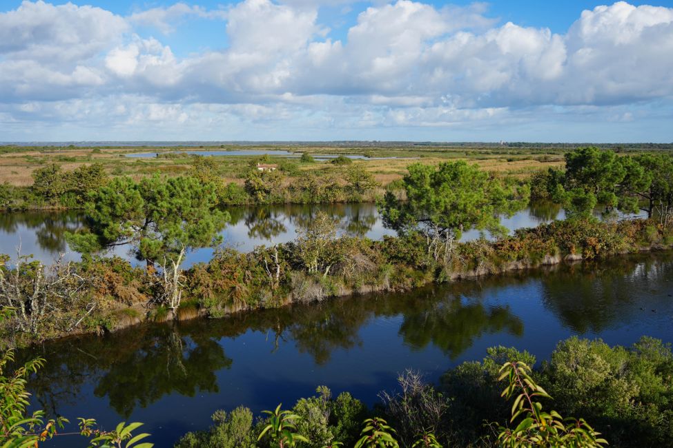 Réserve Orni­thologique du Teich ©Marion_Dal_Bello