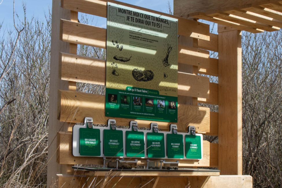 Réserve Orni­thologique du Teich ©Marion_Dal_Bello