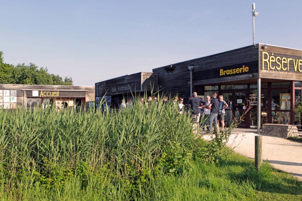 Réserve Orni­thologique du Teich©Michel_QUERA