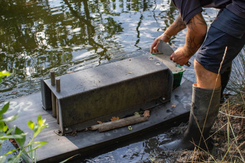 Réserve Orni­thologique du Teich  © Joris_Grenon