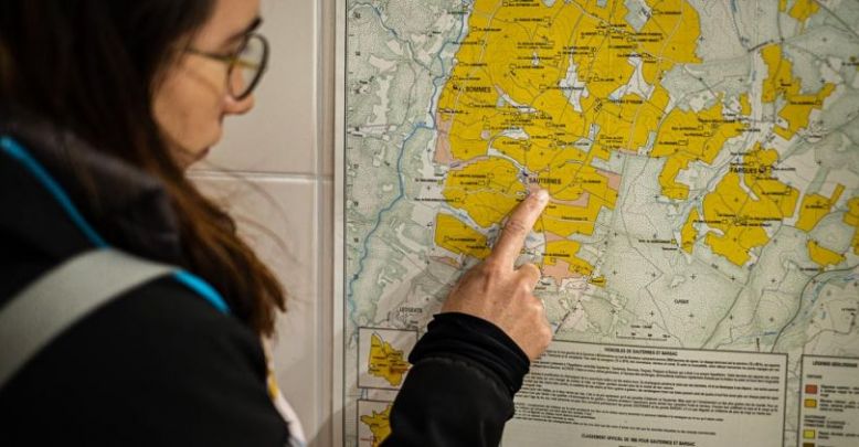 The wine route of Bordeaux in Graves and Sauternes