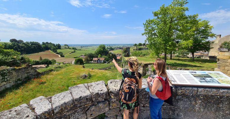 Visit of Saint-Emilion, between History and He ...