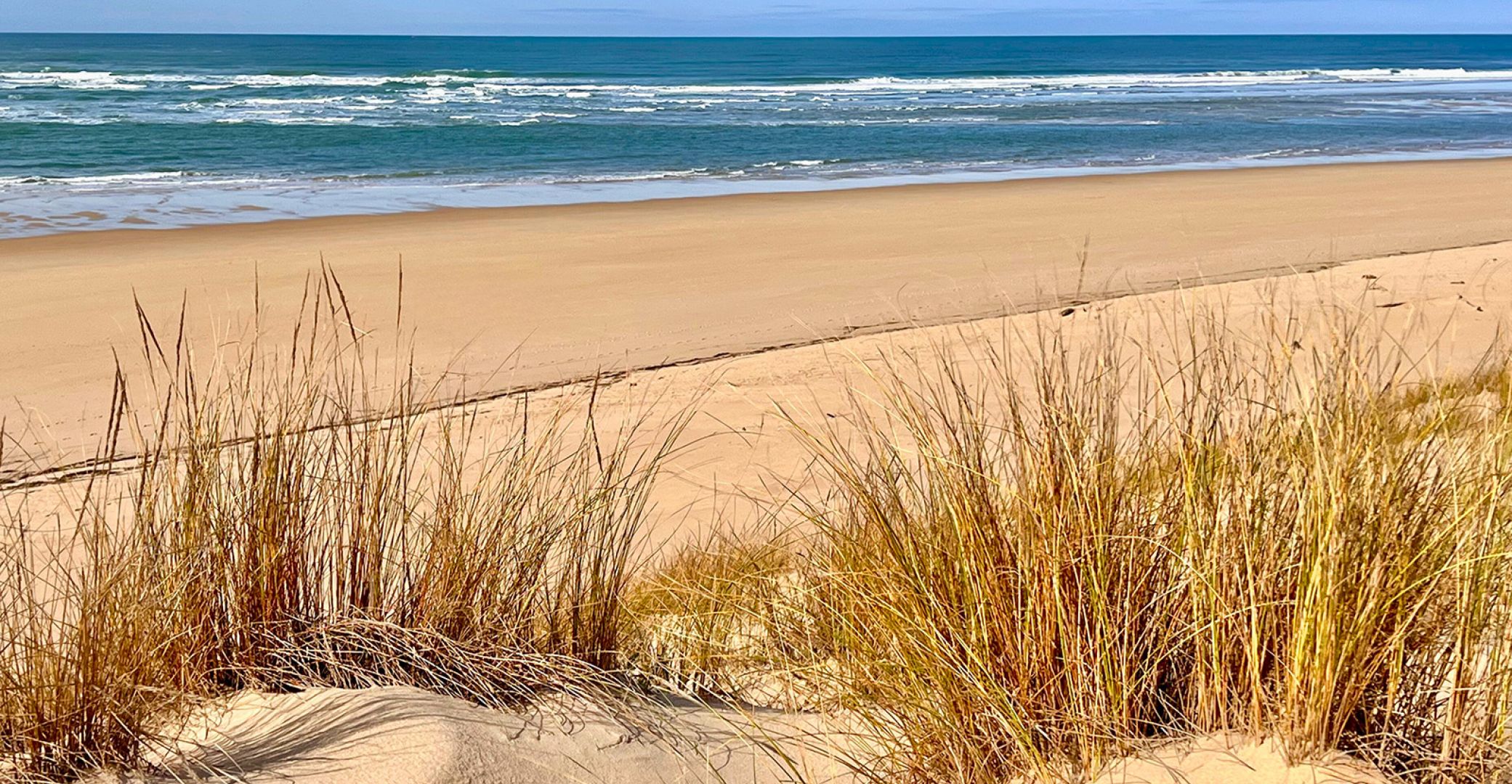 Wellness and relaxati ...