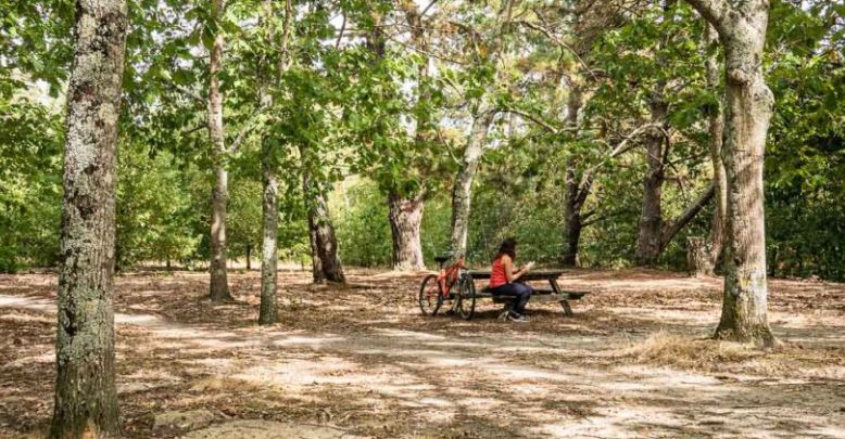 Nature bike ride north of Bordeaux